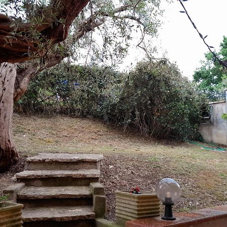 I Gufetti 2 Apartment San Savino  Ngoại thất bức ảnh